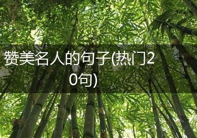 赞美名人的句子(热门20句)