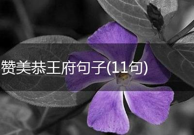 赞美恭王府句子(11句)