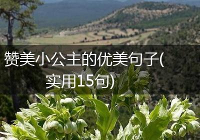 赞美小公主的优美句子(实用15句)