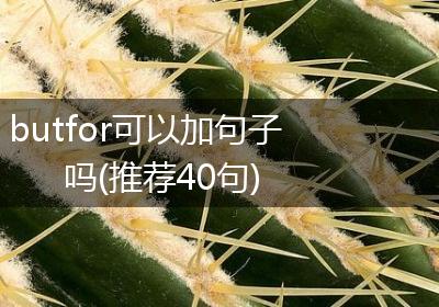 butfor可以加句子吗(推荐40句)