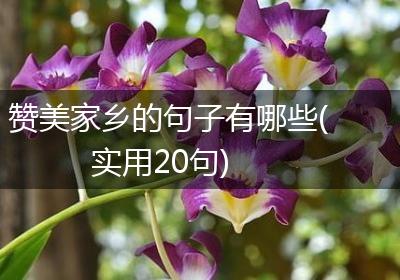 赞美家乡的句子有哪些(实用20句)