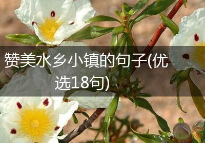 赞美水乡小镇的句子(优选18句)