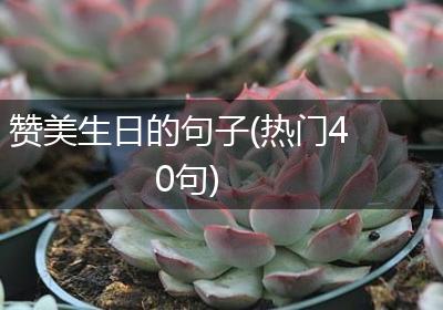 赞美生日的句子(热门40句)
