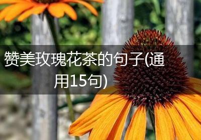 赞美玫瑰花茶的句子(通用15句)