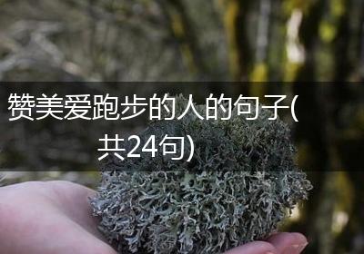 赞美爱跑步的人的句子(共24句)