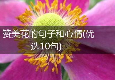 赞美花的句子和心情(优选10句)