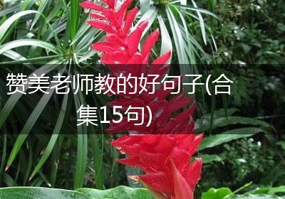 赞美老师教的好句子(合集15句)