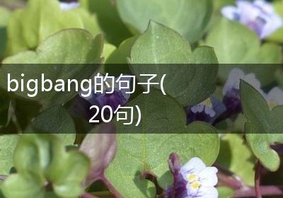 bigbang的句子(20句)