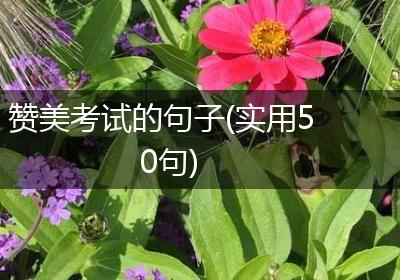 赞美考试的句子(实用50句)