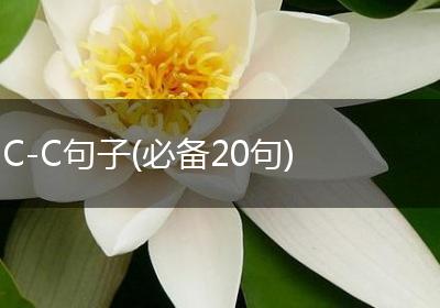 C-C句子(必备20句)