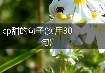 cp甜的句子(实用30句)