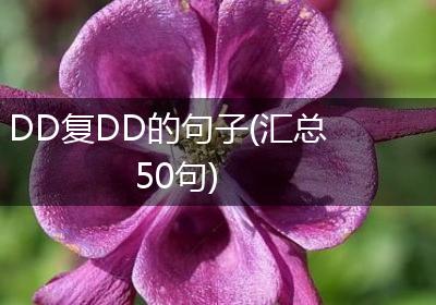 DD复DD的句子(汇总50句)