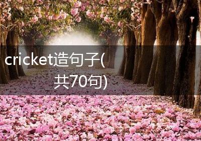 cricket造句子(共70句)