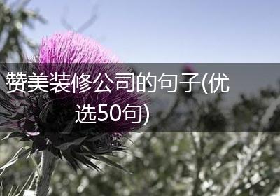 赞美装修公司的句子(优选50句)