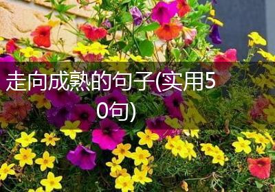走向成熟的句子(实用50句)