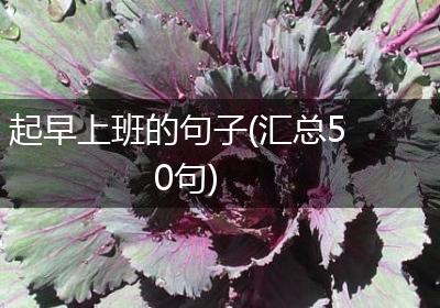 起早上班的句子(汇总50句)