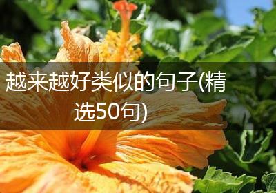 越来越好类似的句子(精选50句)