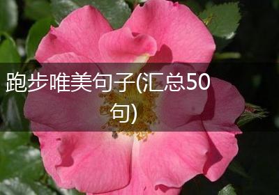 跑步唯美句子(汇总50句)