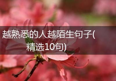越熟悉的人越陌生句子(精选10句)
