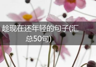趁现在还年轻的句子(汇总50句)