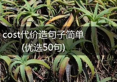 cost代价造句子简单(优选50句)