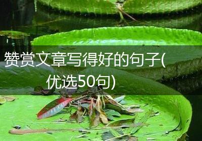 赞赏文章写得好的句子(优选50句)