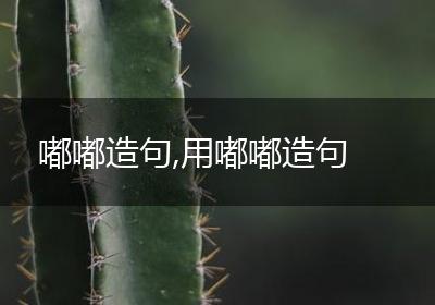 嘟嘟造句,用嘟嘟造句