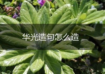华光造句怎么造
