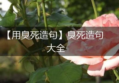 【用臭死造句】臭死造句大全