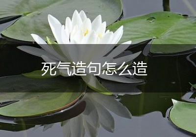 死气造句怎么造