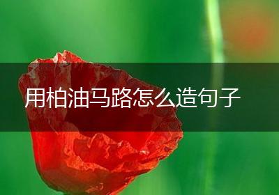 用柏油马路怎么造句子