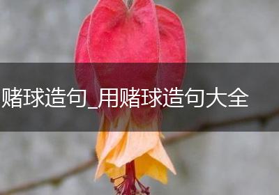 赌球造句_用赌球造句大全