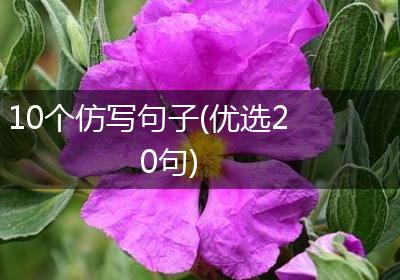 10个仿写句子(优选20句)