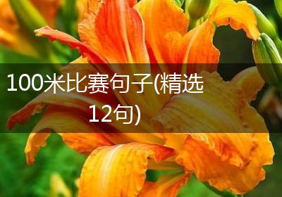 100米比赛句子(精选12句)