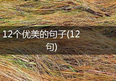 12个优美的句子(12句)