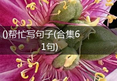 ()帮忙写句子(合集61句)