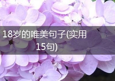 18岁的唯美句子(实用15句)