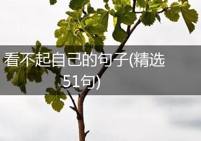 看不起自己的句子(精选51句)