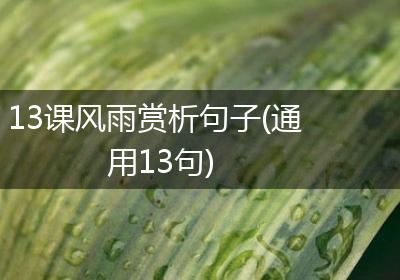 13课风雨赏析句子(通用13句)