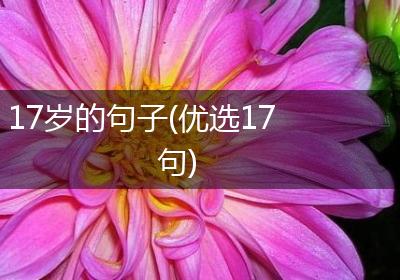 17岁的句子(优选17句)