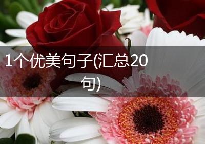 1个优美句子(汇总20句)
