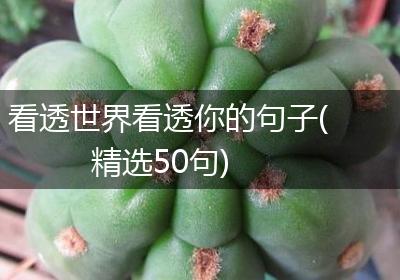 看透世界看透你的句子(精选50句)