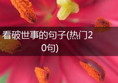 看破世事的句子(热门20句)