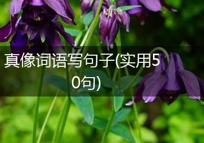 真像词语写句子(实用50句)
