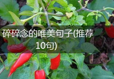 碎碎念的唯美句子(推荐10句)