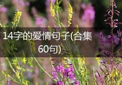 14字的爱情句子(合集60句)