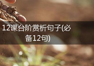12课台阶赏析句子(必备12句)