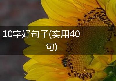 10字好句子(实用40句)