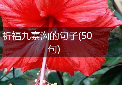 祈福九寨沟的句子(50句)