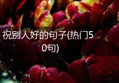 祝别人好的句子(热门50句)